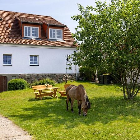 Ferienwohnung "Flori'S Ponyhof" Kröpelin Extérieur photo