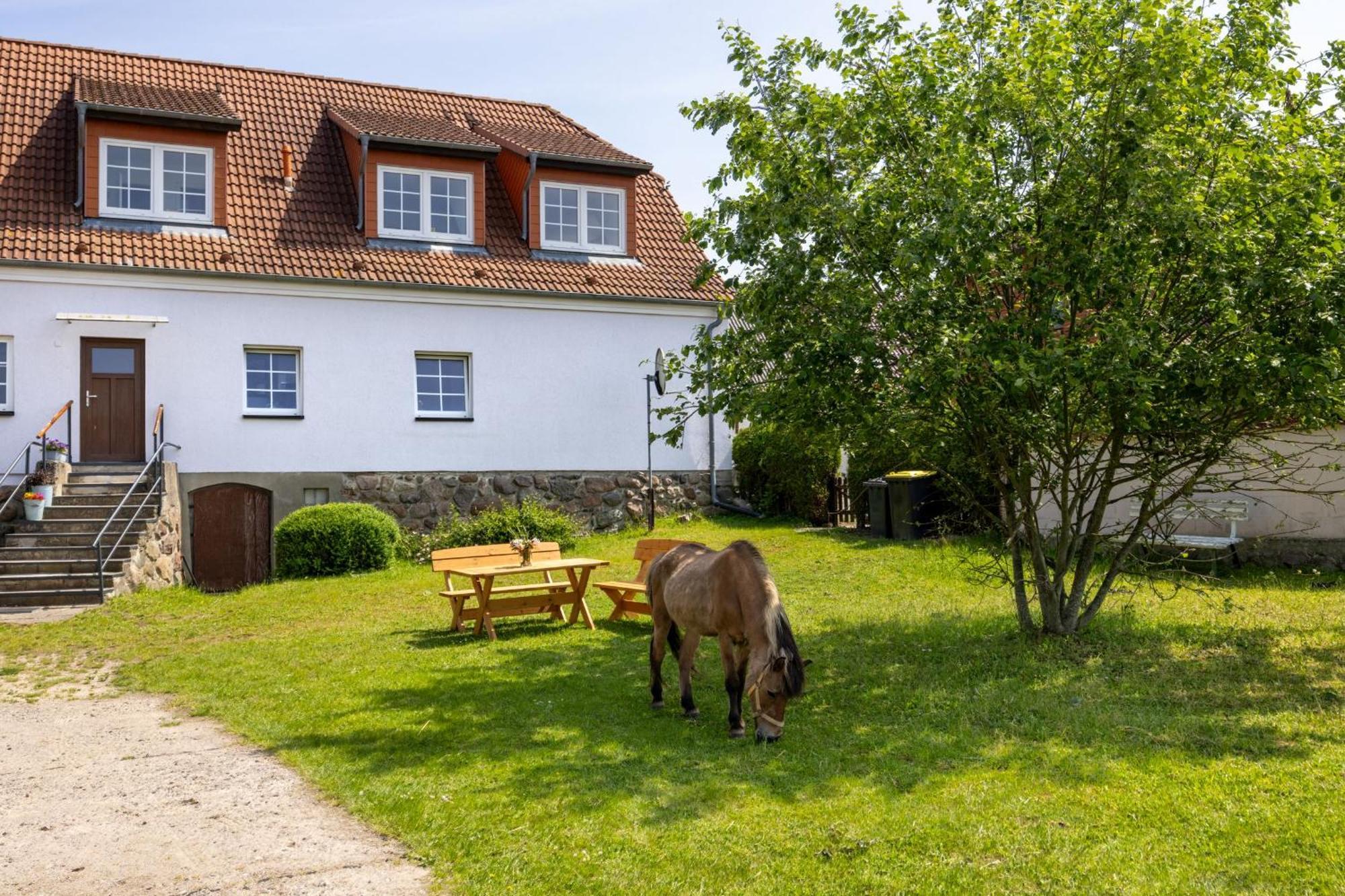 Ferienwohnung "Flori'S Ponyhof" Kröpelin Extérieur photo